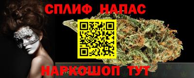 эйфоретик Новокубанск