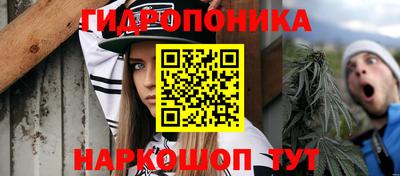 эйфоретик Новокубанск