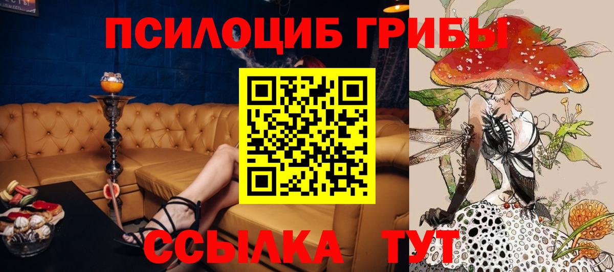 Псилоцибиновые грибы Psilocybine cubensis Самара