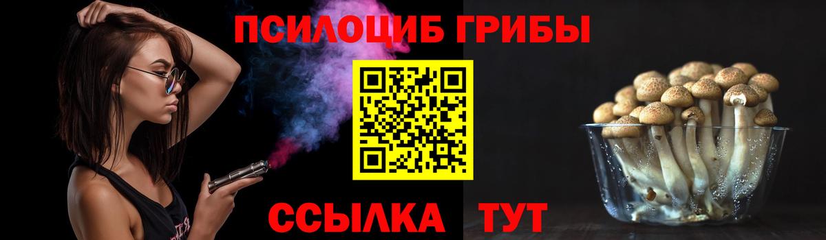 Галлюциногенные грибы прущие грибы  Вход с VPN  Самара 